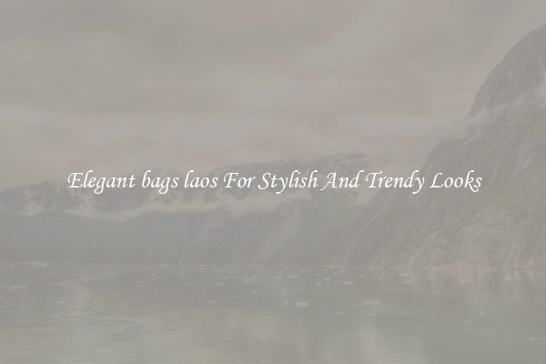 Elegant bags laos For Stylish And Trendy Looks