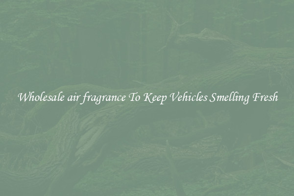 Wholesale air fragrance To Keep Vehicles Smelling Fresh