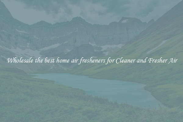 Wholesale the best home air fresheners for Cleaner and Fresher Air