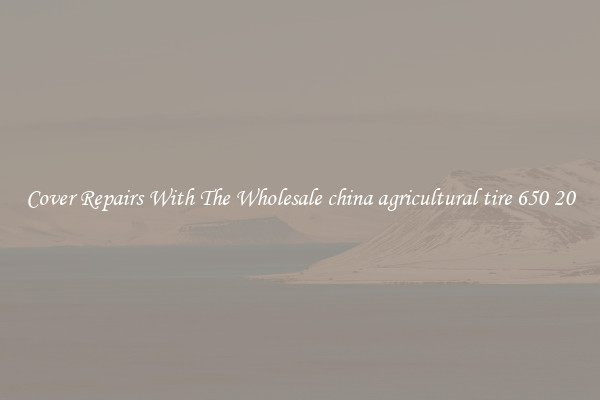  Cover Repairs With The Wholesale china agricultural tire 650 20 