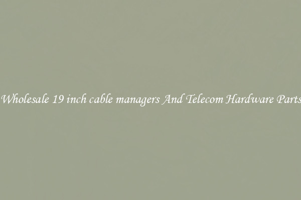 Wholesale 19 inch cable managers And Telecom Hardware Parts