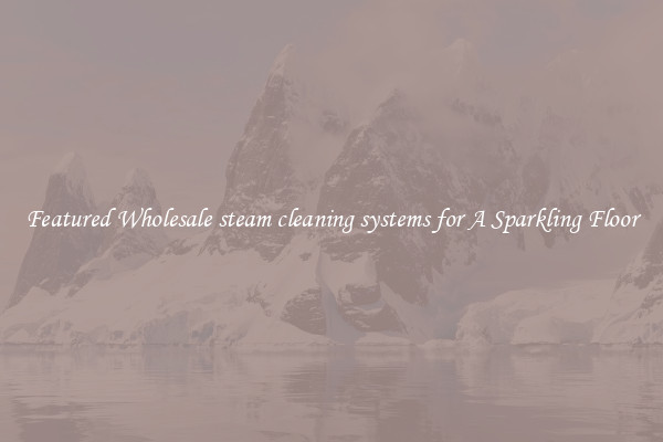 Featured Wholesale steam cleaning systems for A Sparkling Floor