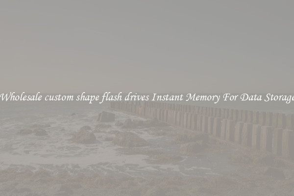 Wholesale custom shape flash drives Instant Memory For Data Storage