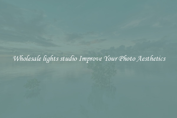 Wholesale lights studio Improve Your Photo Aesthetics