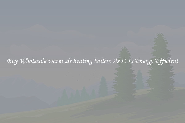 Buy Wholesale warm air heating boilers As It Is Energy Efficient
