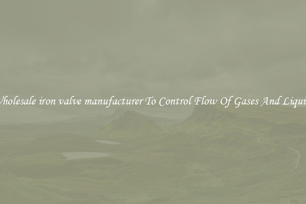 Wholesale iron valve manufacturer To Control Flow Of Gases And Liquids