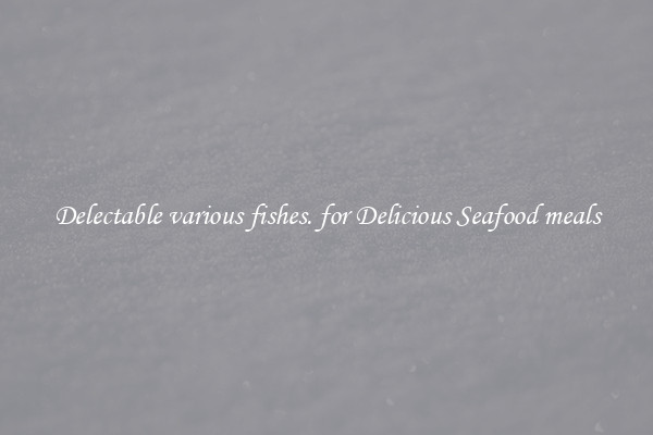 Delectable various fishes. for Delicious Seafood meals