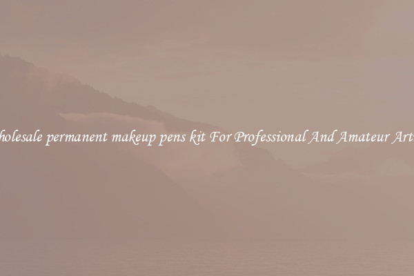 Wholesale permanent makeup pens kit For Professional And Amateur Artists