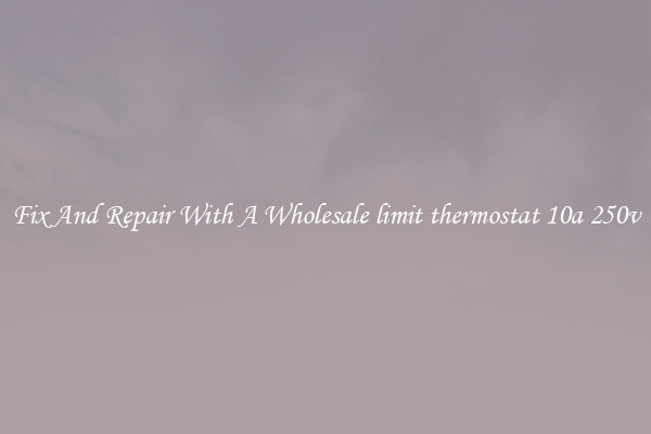 Fix And Repair With A Wholesale limit thermostat 10a 250v