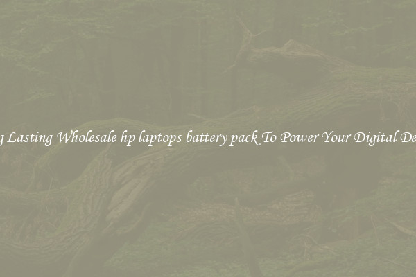 Long Lasting Wholesale hp laptops battery pack To Power Your Digital Devices