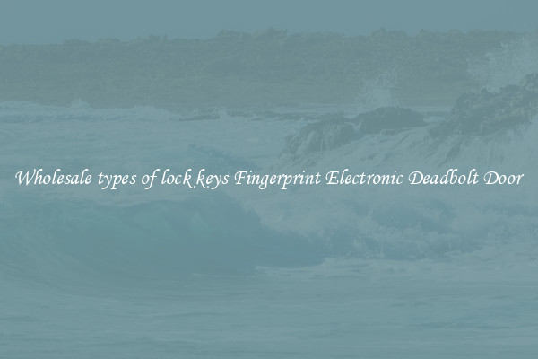 Wholesale types of lock keys Fingerprint Electronic Deadbolt Door 
