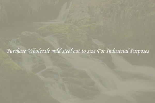 Purchase Wholesale mild steel cut to size For Industrial Purposes