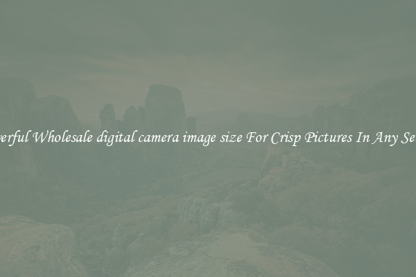 Powerful Wholesale digital camera image size For Crisp Pictures In Any Setting