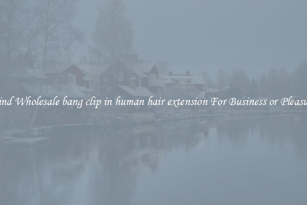 Find Wholesale bang clip in human hair extension For Business or Pleasure