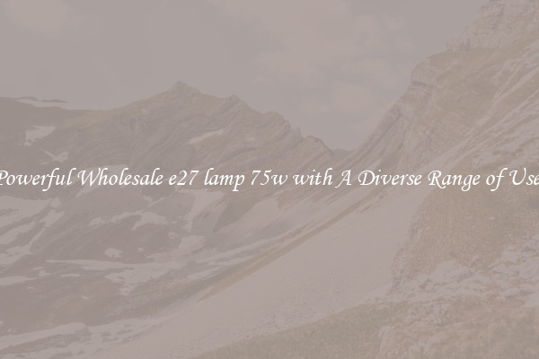 Powerful Wholesale e27 lamp 75w with A Diverse Range of Uses