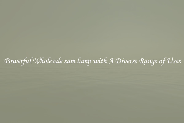 Powerful Wholesale sam lamp with A Diverse Range of Uses