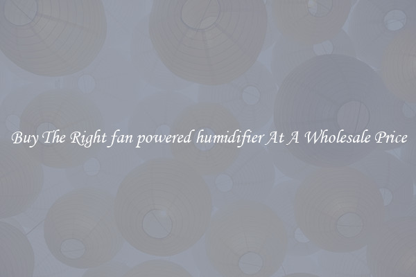 Buy The Right fan powered humidifier At A Wholesale Price