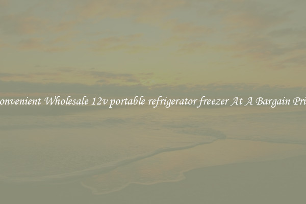 Convenient Wholesale 12v portable refrigerator freezer At A Bargain Price
