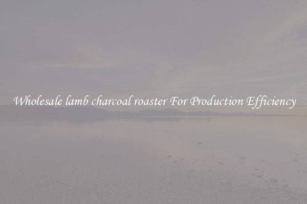 Wholesale lamb charcoal roaster For Production Efficiency