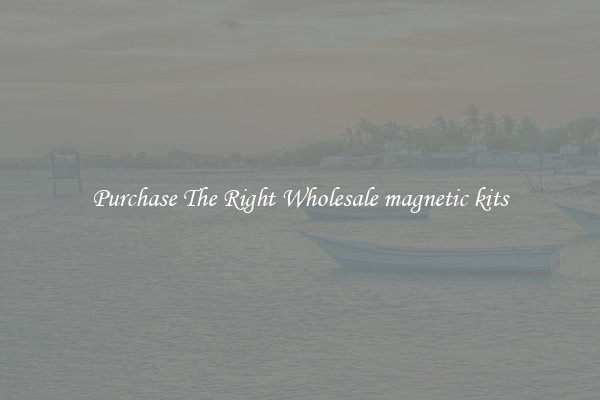Purchase The Right Wholesale magnetic kits